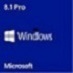 Windows 8